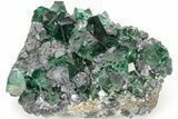 Fluorescent Green Fluorite On Galena - Diana Maria Mine #208850-3